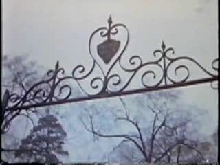 Encounter With The Unknown