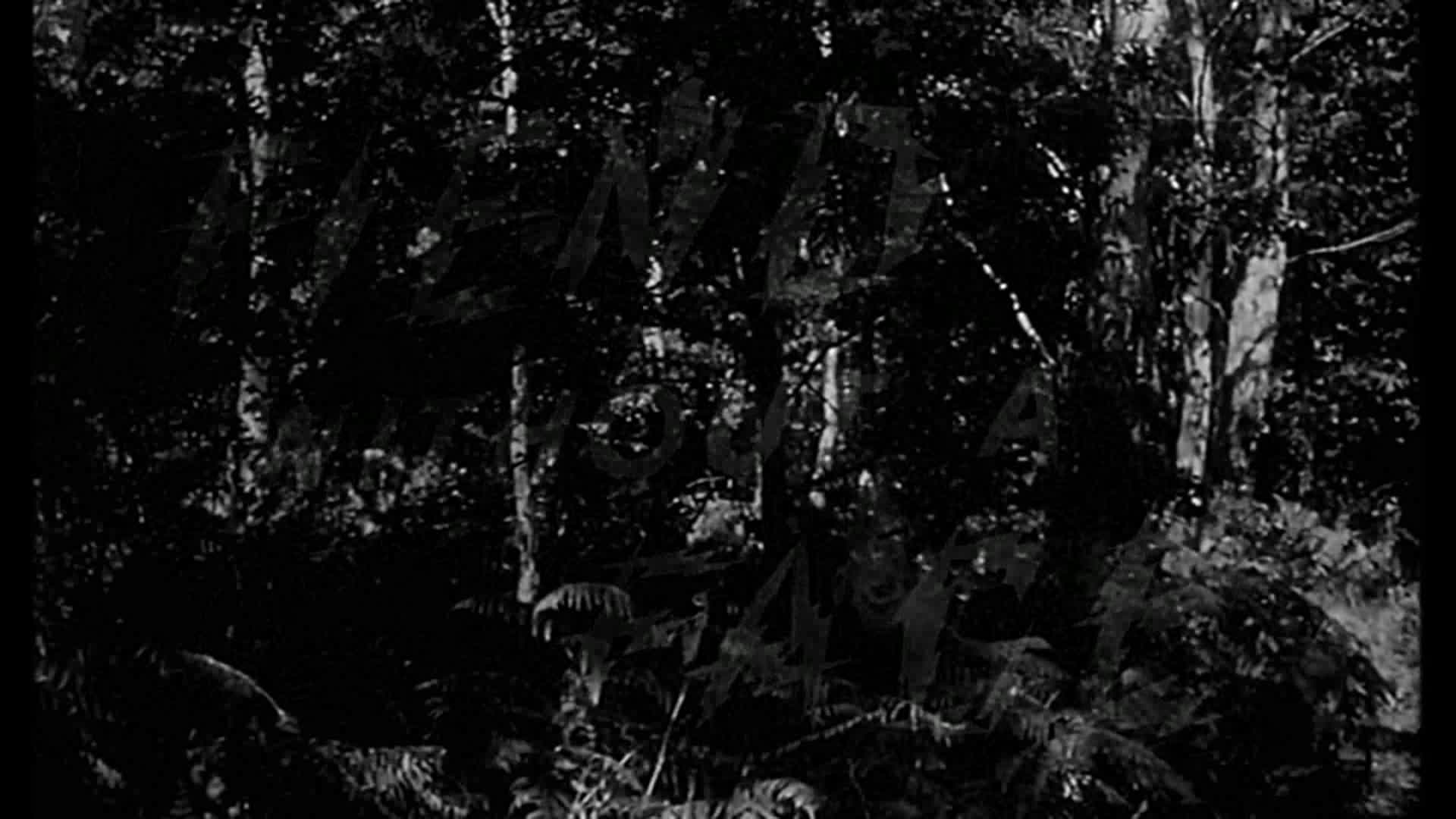 Fiend Without a Face