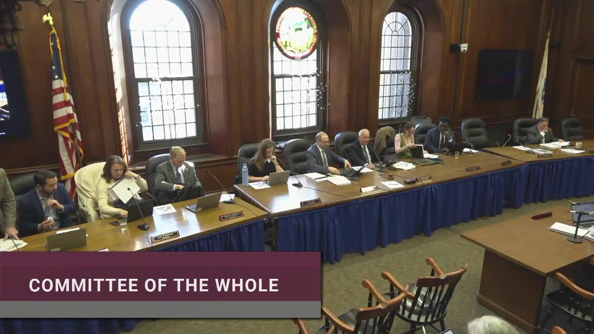 Thumbnail image for (Live) Committee of the Whole and City Council - May 12, 2026